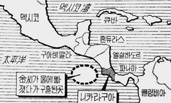 거북이의기적 이미지