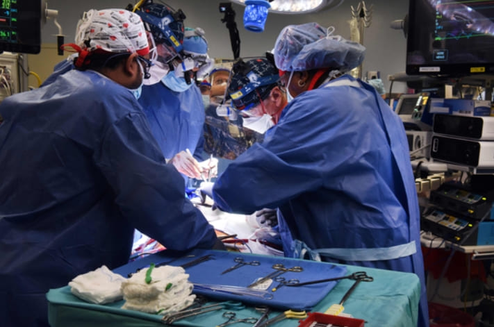 미국에서 유전자를 조작한 돼지 심장을 위급 환자에게 이식하는 수술이 의료계 최초로 진행됐다. 10일(현지시간) 미국 AP는 메릴랜드대 의대와 연구진이 지난 7일 이같은 수술을 진행했으며 이식 받은 환자는 현재 회복