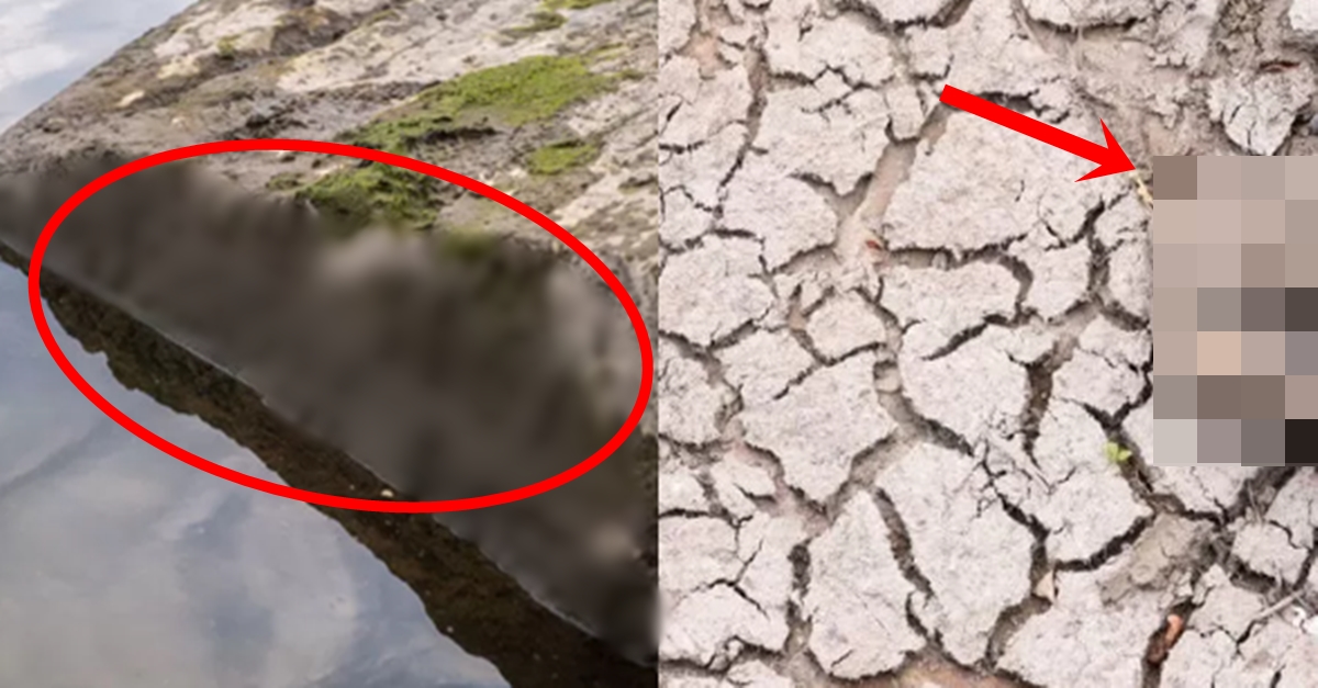 가뭄으로 강바닥 헝거스톤에 드러난 소름 돋는 경고 문구 내용