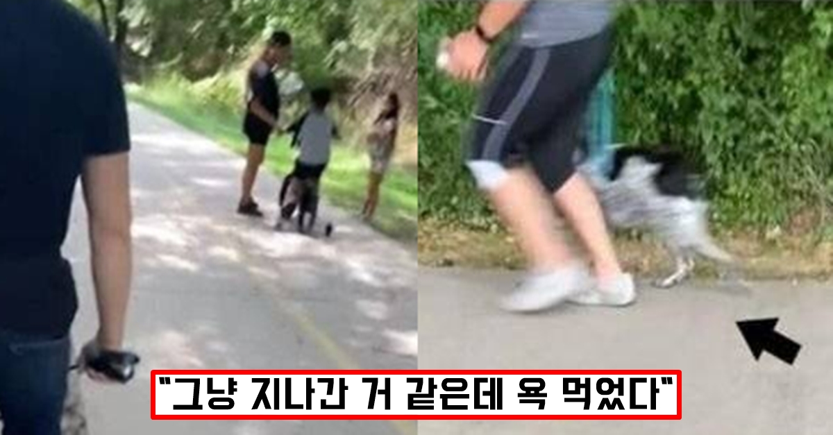해외에서 산책하다가 한국인 것 마냥 행동하면 무조건 욕 먹는 행동