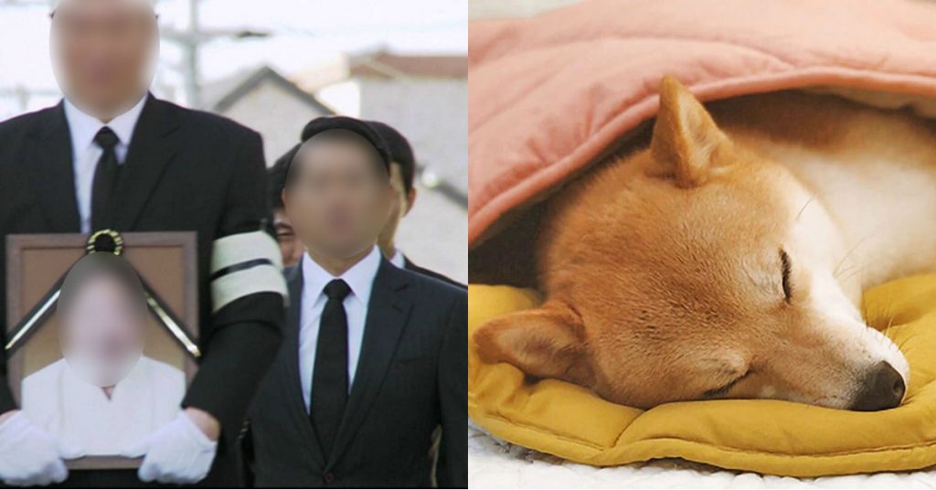 학생 조부상 출석 불인정 연세대 교수 자기 강아지 임종 지키려 휴강