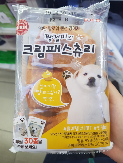 짱절미 강아지 강형욱 개 짱절미인스타 절미언니