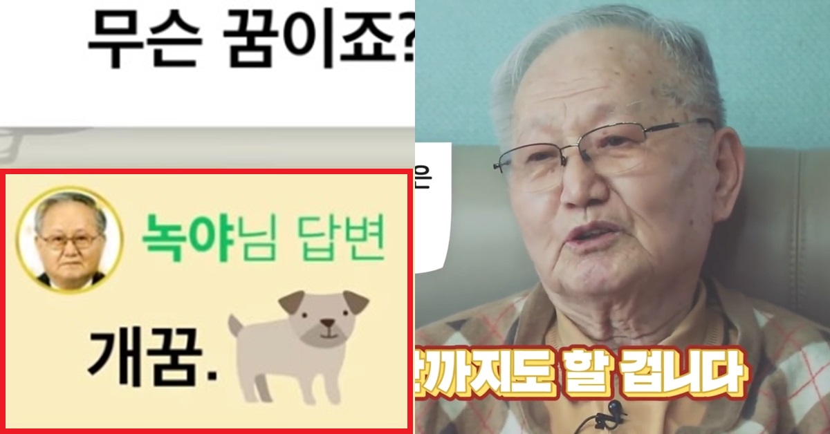 네이버 지식인 태양신 '녹야 조광현 할아버지', 87세 일기로 별세 (생전 영상, 빈소 위치)