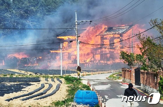실시간 강릉 산불 주민 91명 대피, 주택 4동 펜션 1동 불타버렸다 