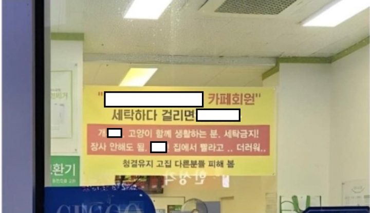 "크린토피아 고양이 빨래 논란" 업주, 계약 해지 통보 억울한 심경 폭발한 이유 (사진)