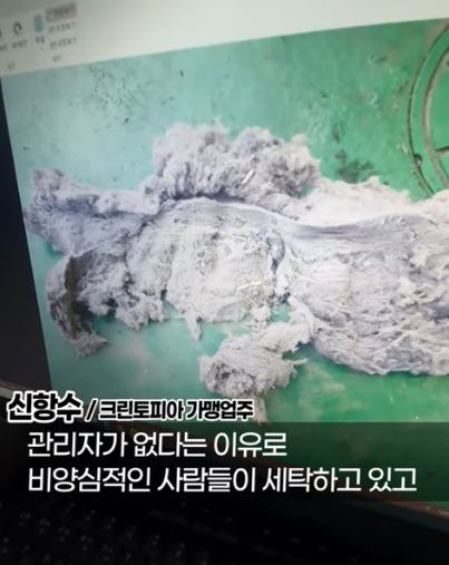 "크린토피아 고양이 빨래 논란" 업주, 계약 해지 통보 억울한 심경 폭발한 이유 (사진)