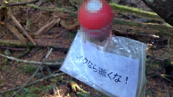 남성 다수 사망한 일본 유명 괴담숲.. 여기 매달려있는 새빨간 컵의 정체 (현장사진)