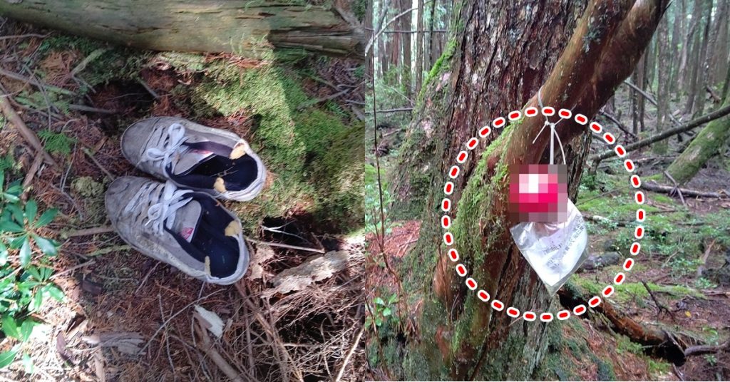 남성 다수 사망한 일본 유명 괴담숲.. 여기 매달려있는 새빨간 컵의 정체 (현장사진)