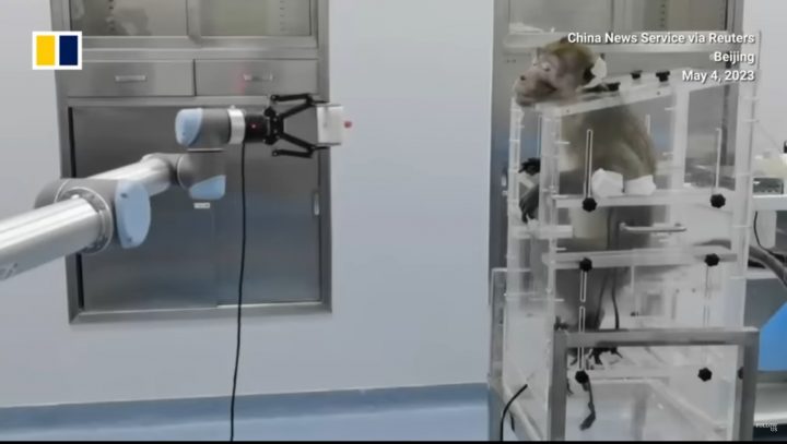 中연구팀, 원숭이 목에 칩 이식해 로봇팔 조종…영장류 뇌-기계 실험 성공한 이유