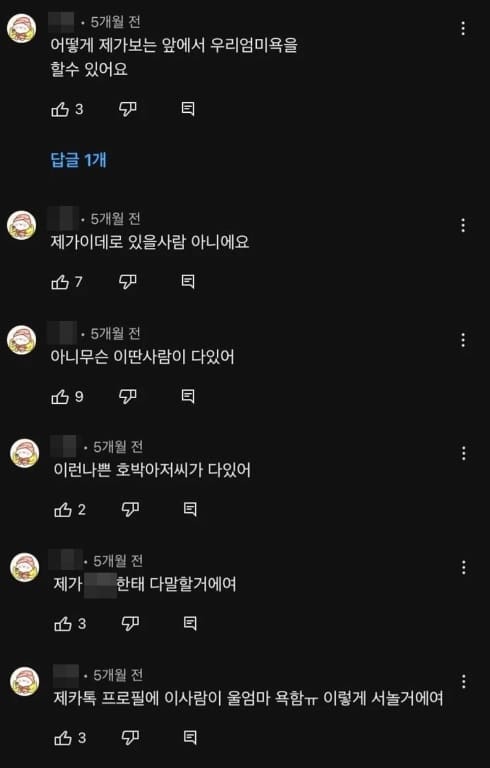 임블리 임블리 뇌사 임블리 사망 임블리 딸 임블리 남편 임블리 방송